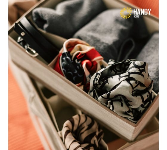 Органайзер для хранения HANDY HOME латте 4 секции, 330х235х90 мм ES-21
