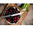 Универсальный кухонный нож TOJIRO service knife, длина лезвия 90 мм, сталь vg-10, 37 слоев, рукоять сталь FD-701 4