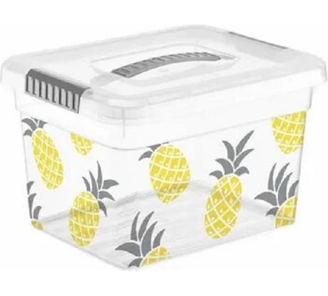 Ящик для хранения FunBox Deco 5 л с ручкой ФРУКТЫ 00000050069