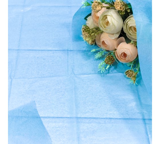 Упаковочная бумага Дон Баллон Тишью, 0.5x0.7 м, Небесно-голубой, 40 шт. 88002956 1