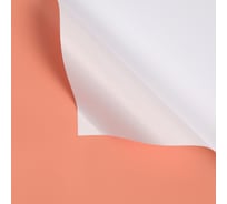 Упаковочная матовая пленка Дон Баллон (0,58x10 м) Персик/Белый, 2 ст, 1 шт. 88020161