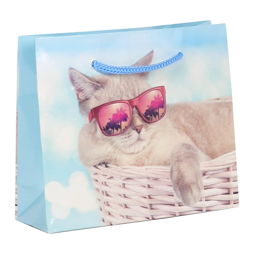 Подарочный пакет  Баллон котик в солнечных очках, 61x46x20 см, 1 шт .