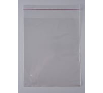 Упаковочный пакет PACK INNOVATION ПП, 20x25+5 см, 60 мкм, отверстие, 500 шт. IP00РРk02025.60 ТО-500