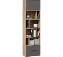 Комбинированный шкаф ТриЯ Порто ТД-393.07.20 Исп.2 яблоня беллуно/графит софт 247086