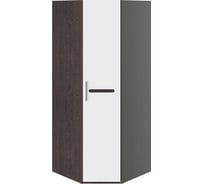 Угловой шкаф ТриЯ Фьюжн ТД-260.07.03 белый глянец, венге линум 98648