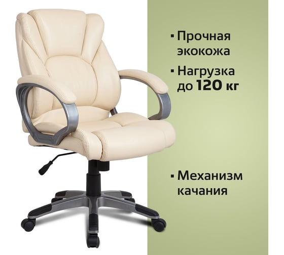 Компьютерное офисное кресло руководителя BRABIX Eldorado EX-504, с подлокотниками, эко кожа 531167