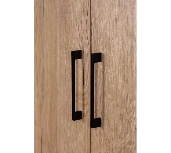 Шкаф R-Home Loft двухстворчатый, без зеркал, дуб табак 4009293h_Табак