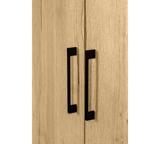 Шкаф R-Home Loft двухстворчатый, без зеркал, дуб натуральный 4009293h_Натур