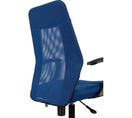 Кресло Easy Chair vb_e 225 ptw синий, сетка, ткань, металл 1808701