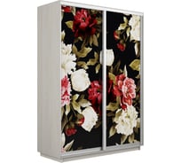 Шкаф Е1 Экспресс 2-х дверный Фото №1020 Пионы 696-52