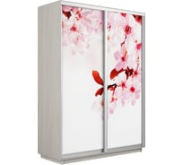 Шкаф Е1 Экспресс 2-х дверный Фото №1023 Сакура 698-6