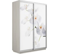 Шкаф Е1 Экспресс 2-х дверный Фото №1025 Орхидея белая 690-3