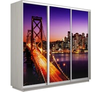 Шкаф Е1 Экспресс 3-х дверный Фото №1007 Ночной мост 699-35