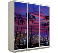 Шкаф Е1 Экспресс 3-х дверный Фото №1014 Закат над городом 693-42