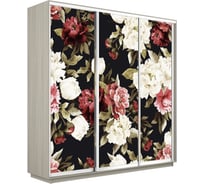 Шкаф Е1 Экспресс 3-х дверный Фото №1020 Пионы 695-49