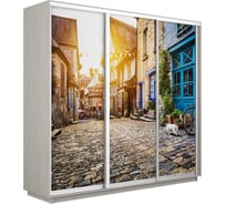 Шкаф Е1 Экспресс 3-х дверный Фото №1022 Улица 699-7