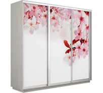 Шкаф Е1 Экспресс 3-х дверный Фото №1023 Сакура 689-3