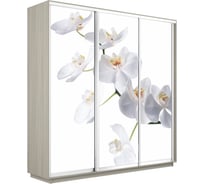 Шкаф Е1 Экспресс 3-х дверный Фото №1025 Орхидея белая 693-3