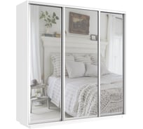 Шкаф Е1 Экспресс 3-х дверный зеркало 611-1