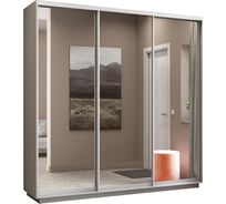 Шкаф Е1 Экспресс 3-х дверный зеркало 20847-9