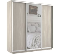 Шкаф Е1 Экспресс 3-х дверный зеркало, ЛДСП 607-4