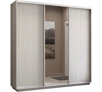 Шкаф Е1 Экспресс 3-х дверный зеркало, ЛДСП 607-29