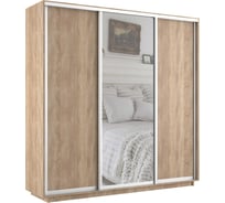 Шкаф Е1 Экспресс 3-х дверный зеркало, ЛДСП 607-7