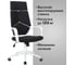 Компьютерное офисное кресло руководителя BRABIX PREMIUM Prime EX-515, с подлокотниками 531812 2