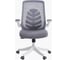 Офисное кресло CHAIRMAN ch565 белый пластик, серый 00-07146049 4