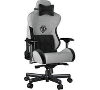 Игровое кресло Andaseat T-Pro 2 серый/черный, размер XL AD12XLLA-01-GB-F