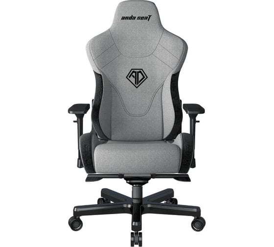 Игровое кресло Andaseat T-Pro 2 серый/черный, размер XL AD12XLLA-01-GB-F