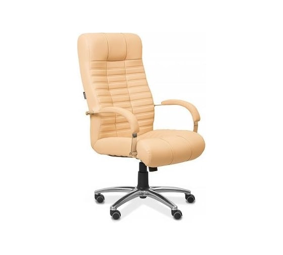 Кресло для руководителя easy chair 577 ttw