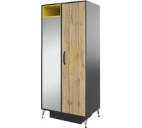 Двухдверный шкаф Woodville нобира антрацит/дуб ирландский/солнечный свет 515118