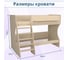 Двухъярусная кровать Капризун р438 8 дуб млечный 405486 7