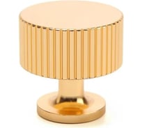 Ручка-кнопка CAPPIO PK326 диаметр 28 мм, золото 9905869