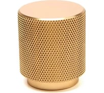 Ручка-кнопка CAPPIO PK330 диаметр 30 мм, золото 9905881