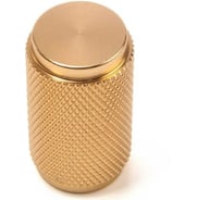 Ручка-кнопка CAPPIO PK331 диаметр 28 мм, золото 9905884