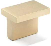 Мебельная ручка CAPPIO RT202 сатиновое золото 9849257