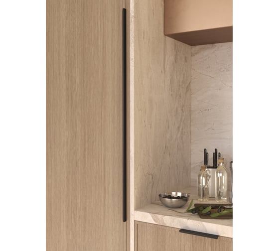 Ручка торцевая ФМС FLAT 896974 черная 60062182
