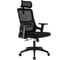 Кресло Everprof EP-530 Black сетка, черный EP-530B-mesh-black 1