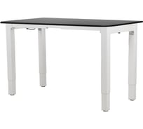 Электрический письменный регулируемый по высоте стол для работы стоя и сидя LuxAlto 4S2, белое подстолье, черная столешница ЛДСП, 160x70 см 34324
