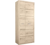 Шкаф Anrex 2D OSKAR, цвет дуб Санремо 643952