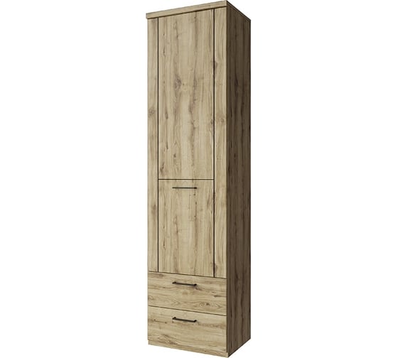 Шкаф Anrex DOORSET 1D2S. Цвет ДУБ НАВАРРА 707348 1