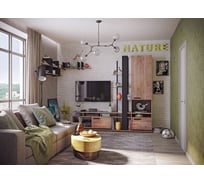 Гостиная Арника Nature Комплект 2, дуб табачный Н000293