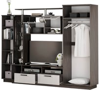 Стенка в гостиную Арника Вега 00-00014231