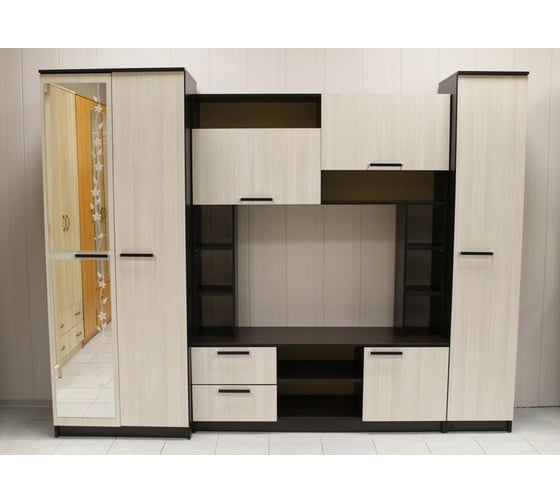 Стенка в гостиную Арника Флора, венге Т0018097
