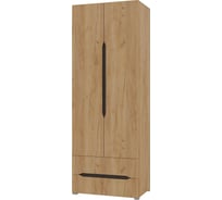 Шкаф для одежды и белья Арника Вега дуб золотой 00-00144306