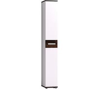 Шкаф для обуви Арника Норвуд 73 00-00015143