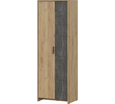 Шкаф двухстворчатый для одежды Арника Лофт 00-00029192
