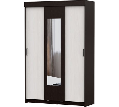 Шкаф-купе Арника ШКП 2 00-00103428